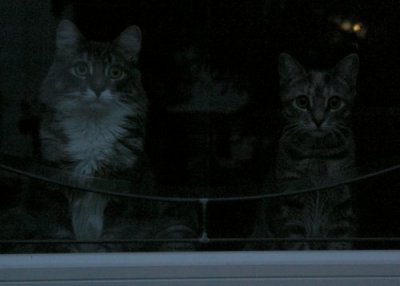 Awaiting Trick or Treaters