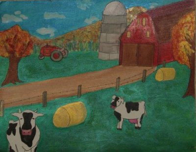 Curious Cows