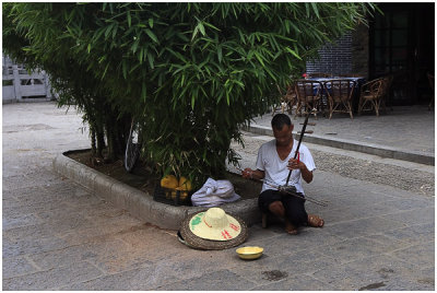 Street Musician