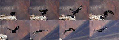 Take-off Sequence