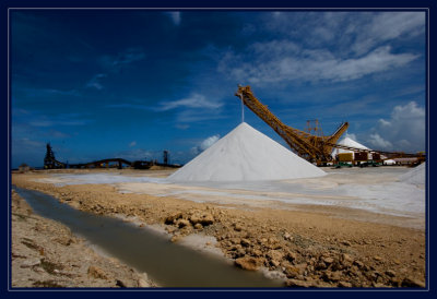 Bonaire Sea Salt