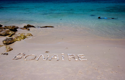 Bonaire - Divers Paradise