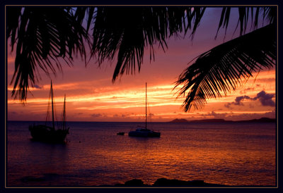 View of the Sunset from the Sand Dollar