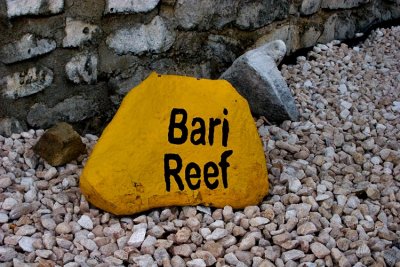 Bari Reef is the house reef for the Sand Dollar