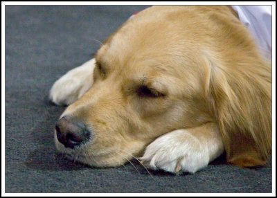 Roxy had a rough day!