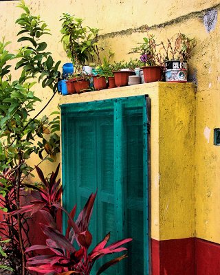 Cancun Window