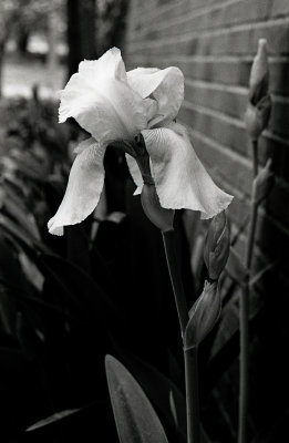 Test_02w_ICE005-2_2.jpg