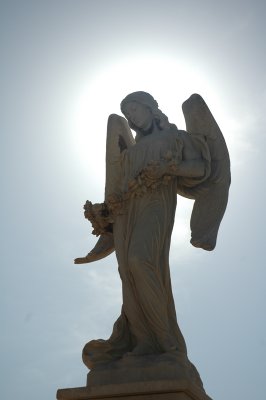 Angel in Jaffa