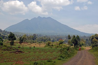 Uganda - Mgahinga National Park