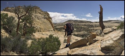 Above Mamie Creek