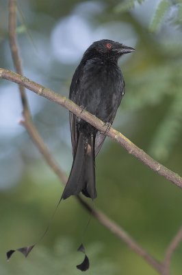 DSC_4353-01.jpg