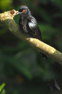 DSC_4851.jpg