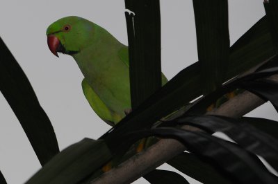 DSC_7934.jpg