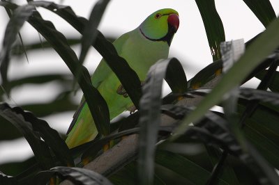 DSC_7935.jpg