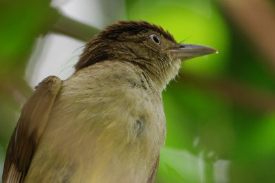 DSC_2267.jpg