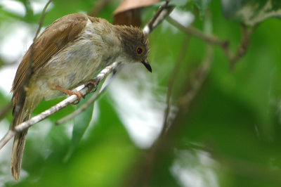 DSC_2309.jpg