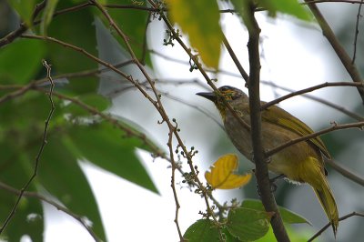 DSC_3010.jpg