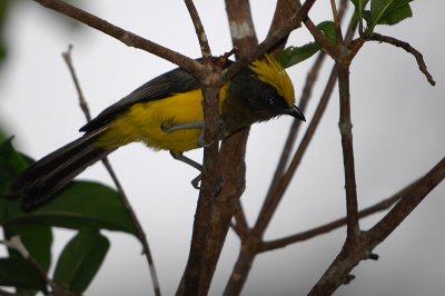 DSC_3151.jpg