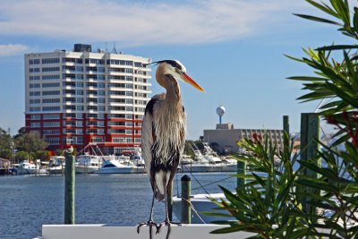 Retired to Florida