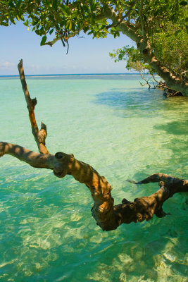  Morrocoy National Park , Venezuela