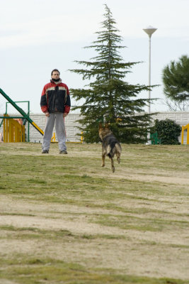 _MG_3507.jpg