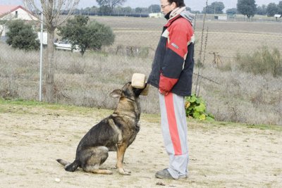 _MG_3513.jpg