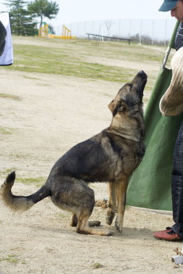 _MG_3646.jpg