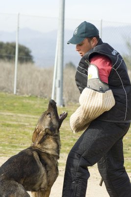 _MG_3650.jpg