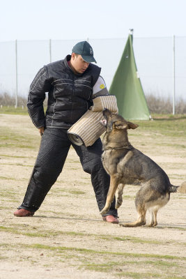 _MG_3655.jpg