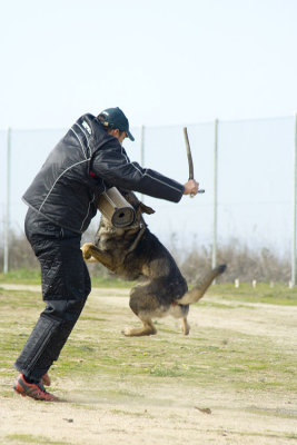 _MG_3657.jpg