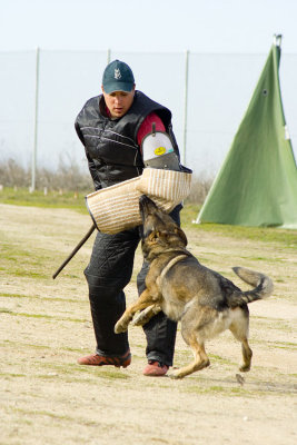 _MG_3658.jpg