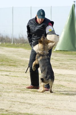 _MG_3659.jpg