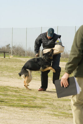 _MG_3677.jpg