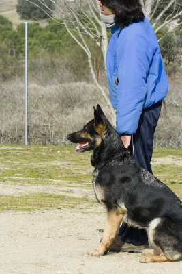 _MG_3675.jpg