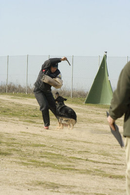 _MG_3676.jpg