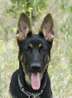 ecko5meses427.jpg