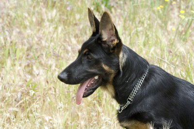 ecko5meses429.jpg