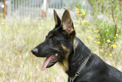 ecko5meses430.jpg