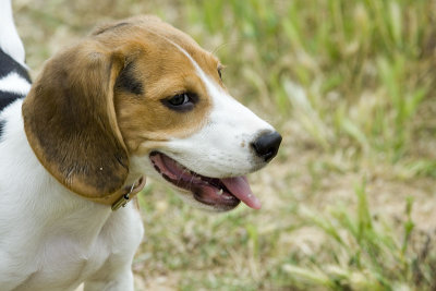 ecko5meses438.jpg