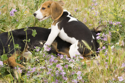 ecko5meses442.jpg