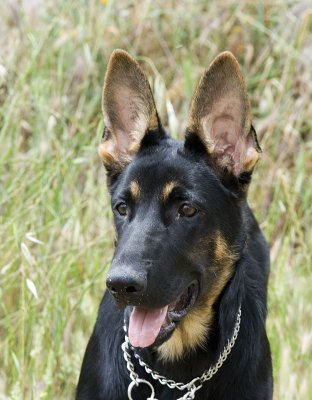 ecko5meses451.jpg