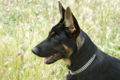 ecko5meses452.jpg
