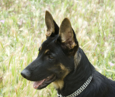 ecko5meses453.jpg