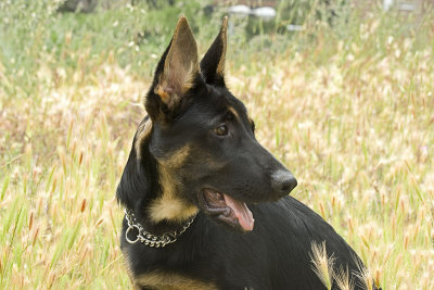 ecko5meses454.jpg
