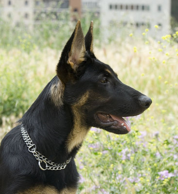 ecko5meses458.jpg
