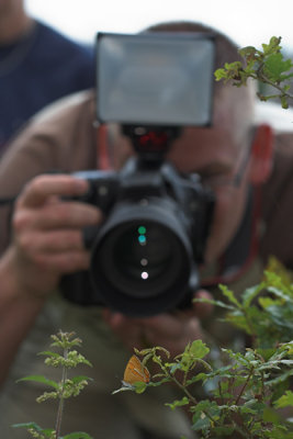 Me taking a picture of the brown hairstreak