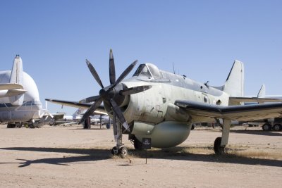 Desert STOC111.JPG