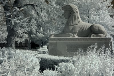 Resize of _DSC7024.jpg