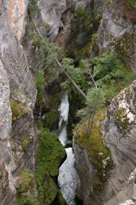 Maligne Canyon