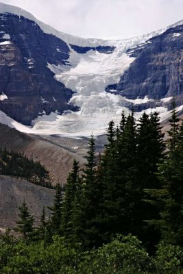 Glacier at Columbia Icefield